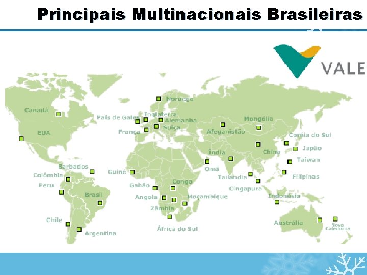 Principais Multinacionais Brasileiras CIA VALE DO RIO DOCE 