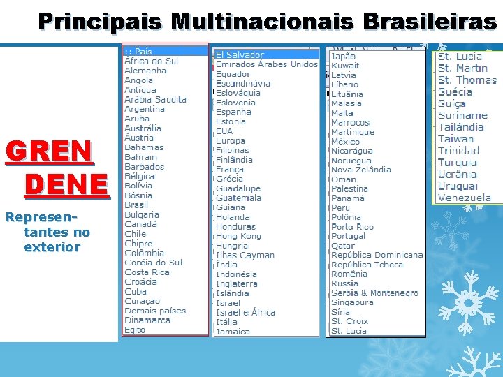 Principais Multinacionais Brasileiras GREN DENE Representantes no exterior 