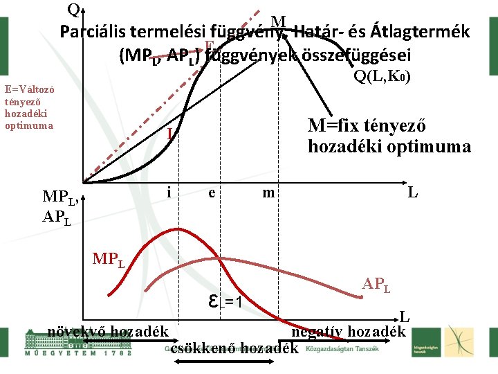 Q M Parciális termelési függvény, Határ- és Átlagtermék (MPL, APL) E függvények összefüggései Q(L,