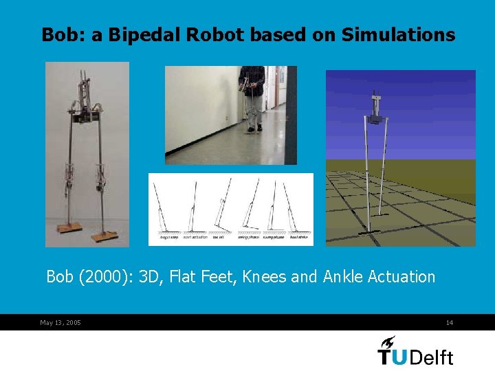 Bob: a Bipedal Robot based on Simulations Bob (2000): 3 D, Flat Feet, Knees