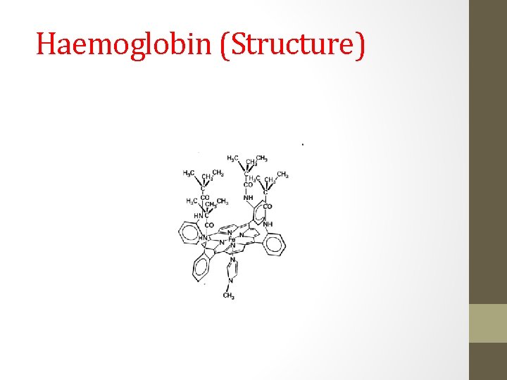 Haemoglobin (Structure) 