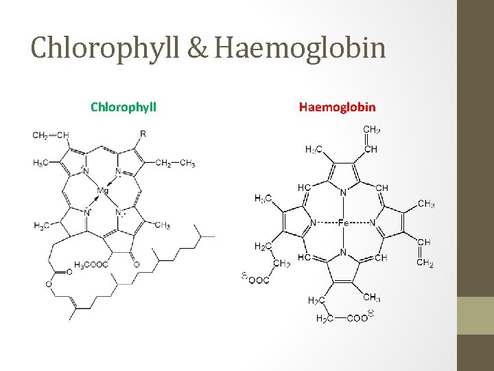 Chlorophyll & Haemoglobin Chlorophyll Haemoglobin 