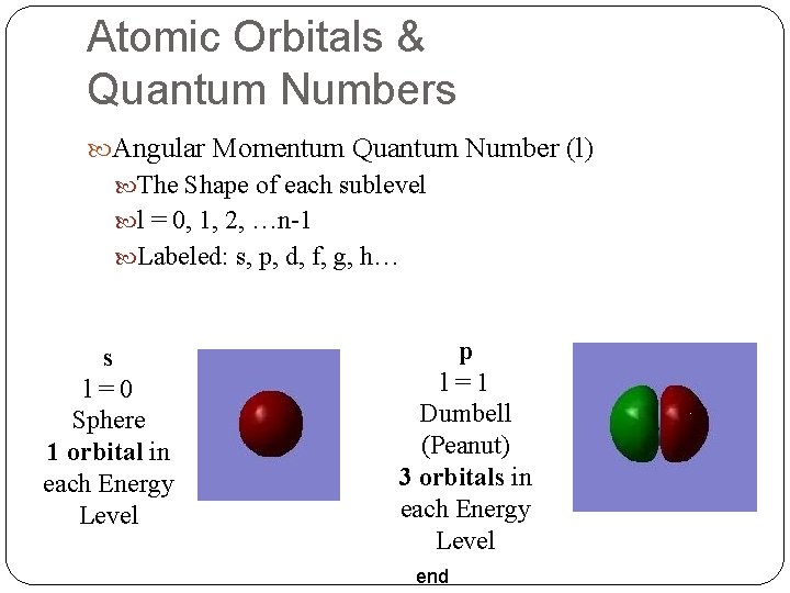 Atomic Orbitals & Quantum Numbers Angular Momentum Quantum Number (l) The Shape of each