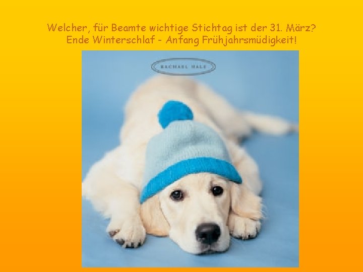 Welcher, für Beamte wichtige Stichtag ist der 31. März? Ende Winterschlaf - Anfang Frühjahrsmüdigkeit!