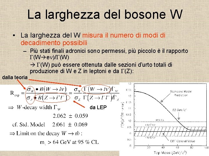 La larghezza del bosone W • La larghezza del W misura il numero di