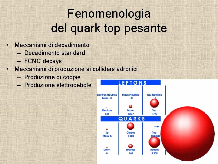 Fenomenologia del quark top pesante • Meccanismi di decadimento – Decadimento standard – FCNC