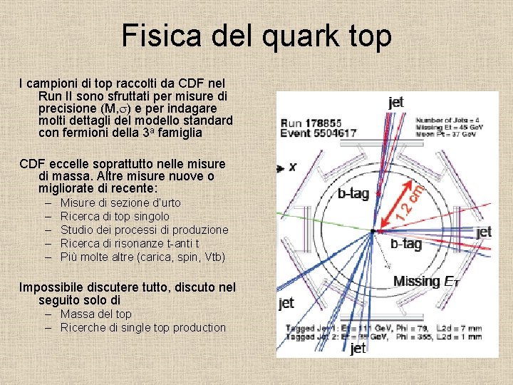 Fisica del quark top I campioni di top raccolti da CDF nel Run II