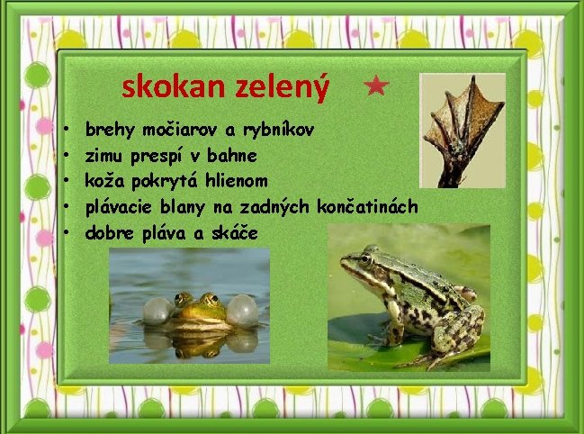 skokan zelený • • • brehy močiarov a rybníkov zimu prespí v bahne koža