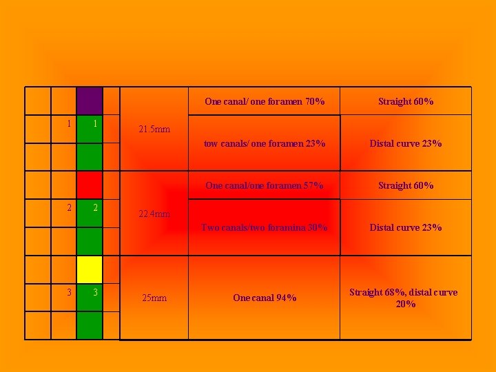 1 2 3 One canal/ one foramen 70% Straight 60% tow canals/ one foramen