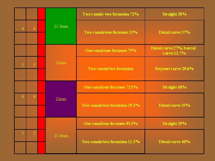 4 5 4 5 Two canals/ two foramina 72% Straight 38% Two canals/one foramen