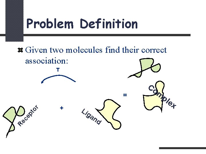 Problem Definition Given two molecules find their correct association: T Re ce pt or