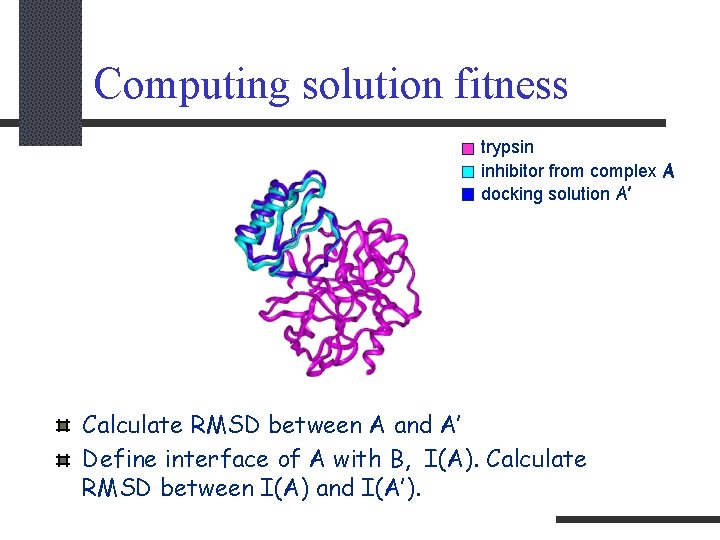 Computing solution fitness trypsin inhibitor from complex A docking solution A’ Calculate RMSD between