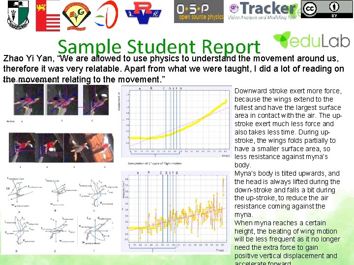 Sample Student Report Zhao Yi Yan, “We are allowed to use physics to understand