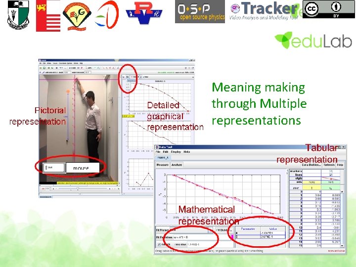 Meaning making through Multiple representations 