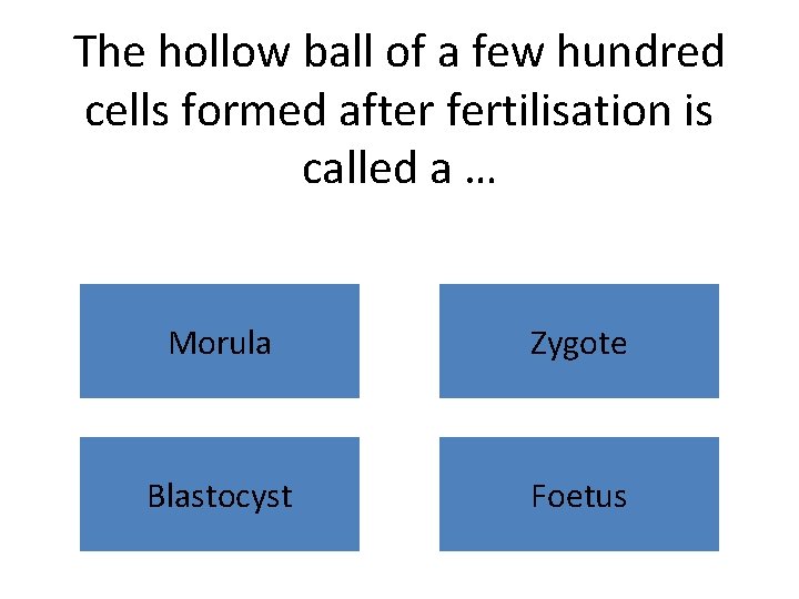 The hollow ball of a few hundred cells formed after fertilisation is called a