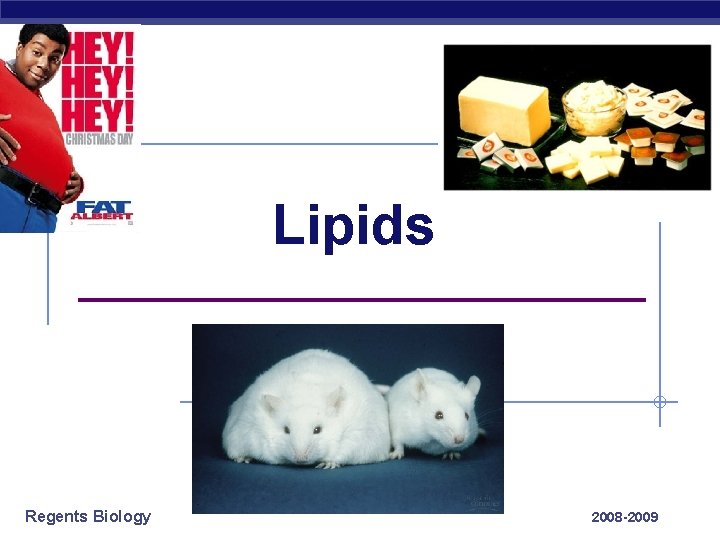 Lipids _______________ Regents Biology 2008 -2009 