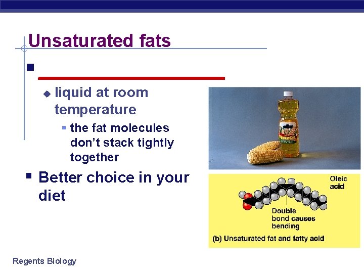 Unsaturated fats § _________ u liquid at room temperature § the fat molecules don’t