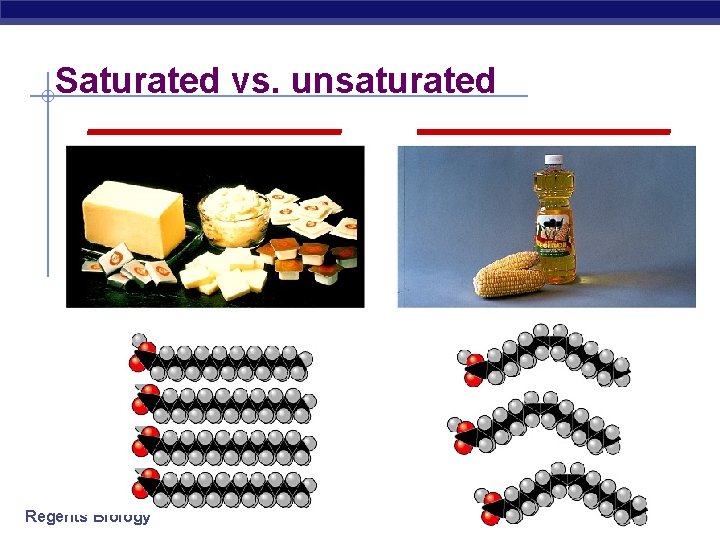 Saturated vs. unsaturated _____________ Regents Biology 