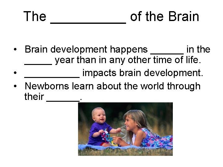 The _____ of the Brain • Brain development happens ______ in the _____ year