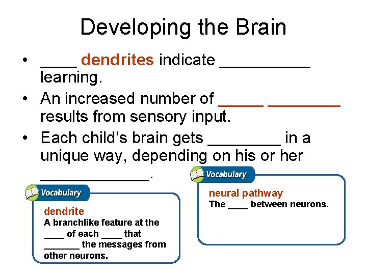 Developing the Brain • ____ dendrites indicate _____ learning. • An increased number of