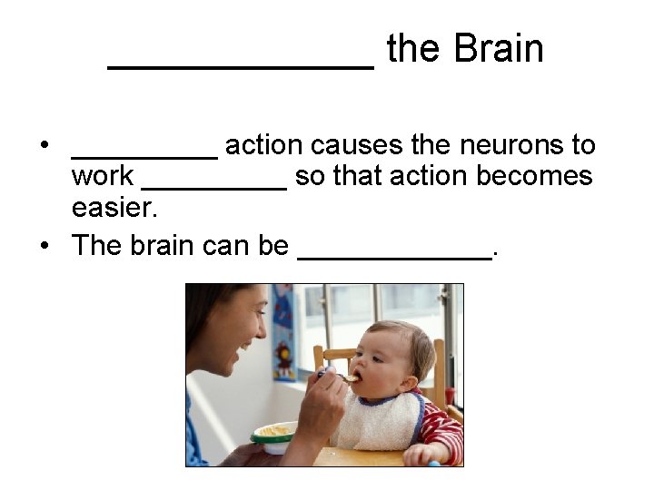 ______ the Brain • _____ action causes the neurons to work _____ so that