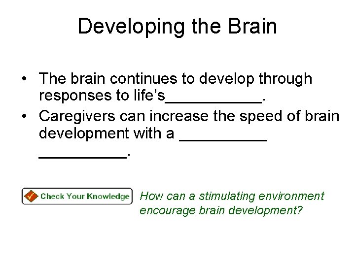 Developing the Brain • The brain continues to develop through responses to life’s______. •