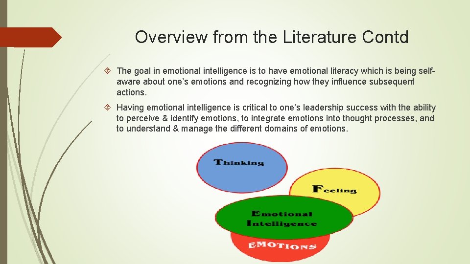 Overview from the Literature Contd The goal in emotional intelligence is to have emotional