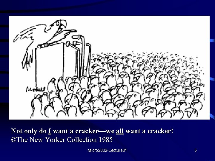 Not only do I want a cracker—we all want a cracker! ©The New Yorker Not only do I want a cracker—we all want a cracker! ©The New Yorker