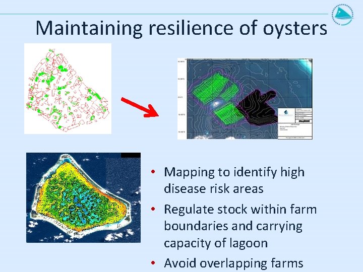 Maintaining resilience of oysters • Mapping to identify high disease risk areas • Regulate