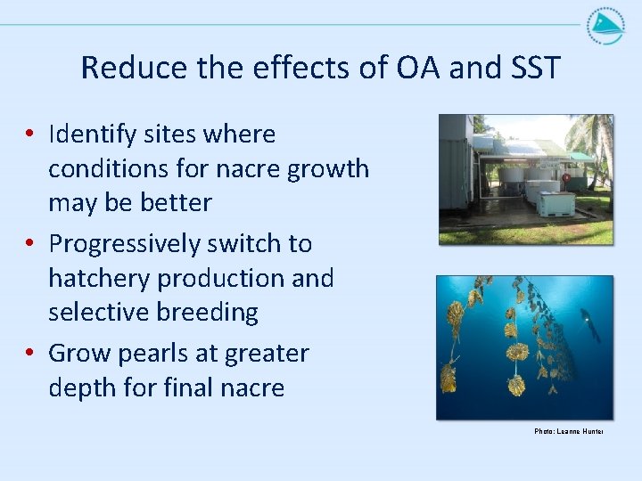 Reduce the effects of OA and SST • Identify sites where conditions for nacre