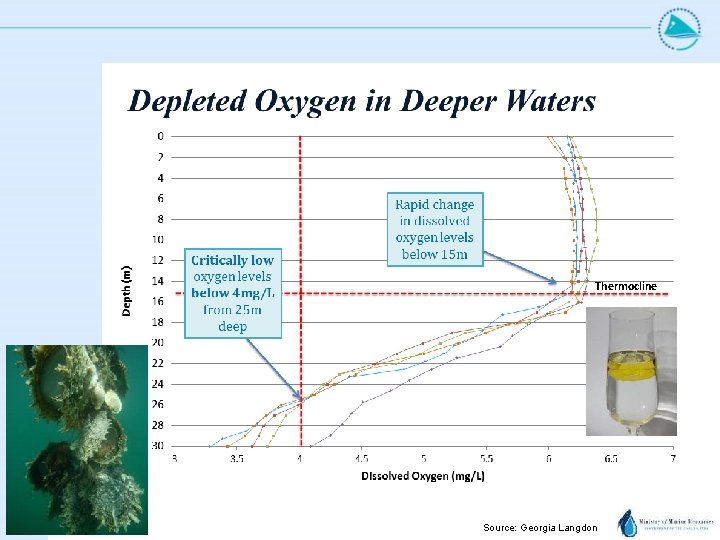 Thermocline Source: Georgia Langdon 