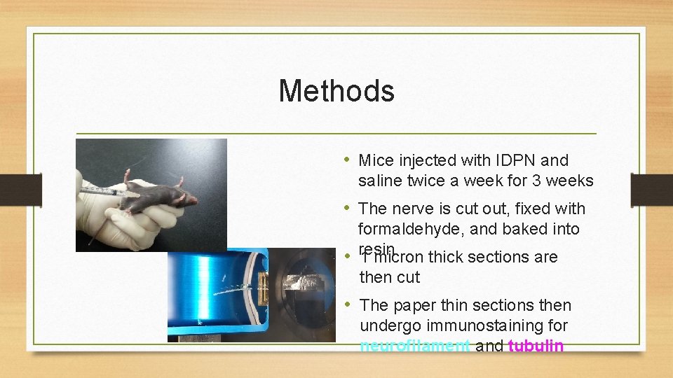 Methods • Mice injected with IDPN and saline twice a week for 3 weeks