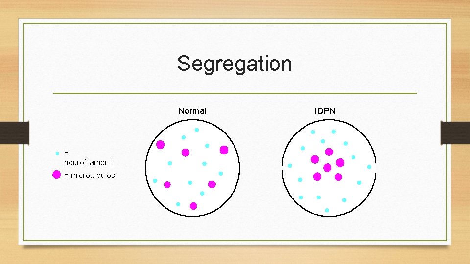 Segregation Normal = neurofilament = microtubules IDPN 