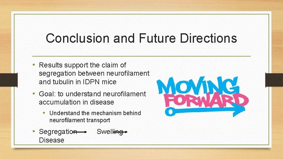 Conclusion and Future Directions • Results support the claim of segregation between neurofilament and