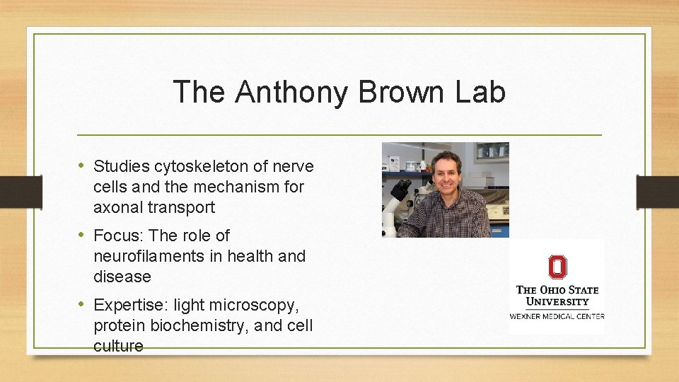 The Anthony Brown Lab • Studies cytoskeleton of nerve cells and the mechanism for