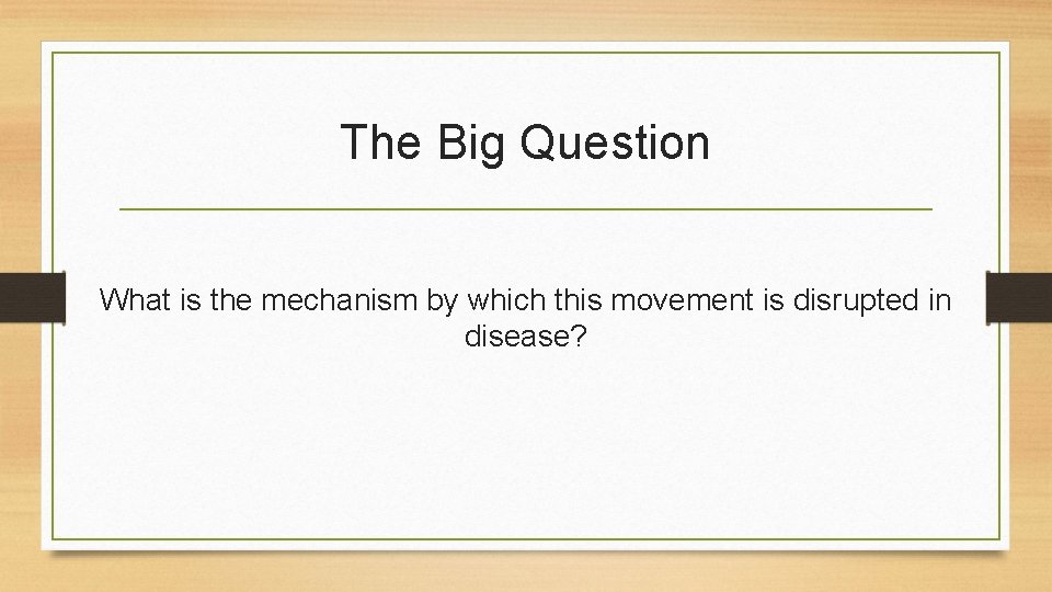 The Big Question What is the mechanism by which this movement is disrupted in