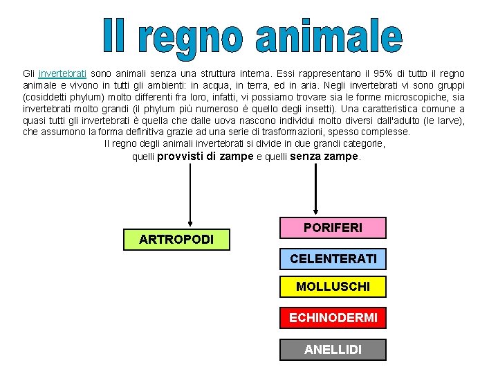 Gli invertebrati sono animali senza una struttura interna. Essi rappresentano il 95% di tutto