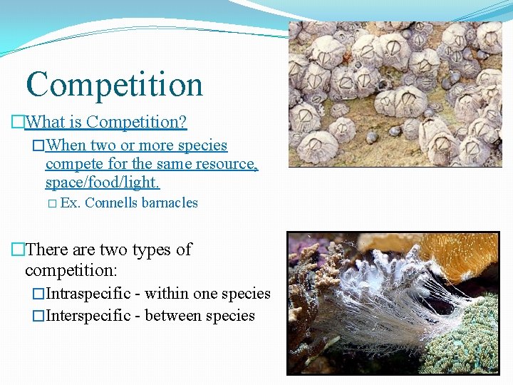 Competition �What is Competition? �When two or more species compete for the same resource,