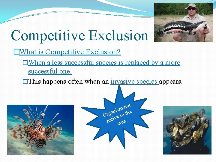Competitive Exclusion �What is Competitive Exclusion? �When a less successful species is replaced by