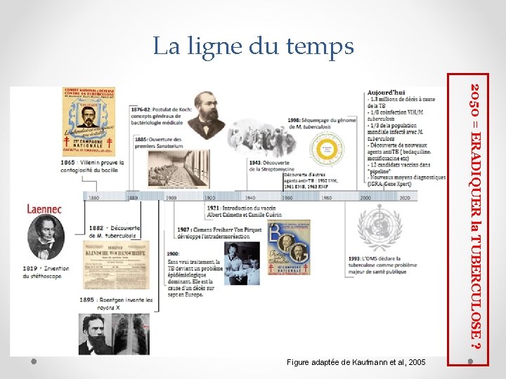 La ligne du temps 2050 = ERADIQUER la TUBERCULOSE ? Figure adaptée de Kaufmann