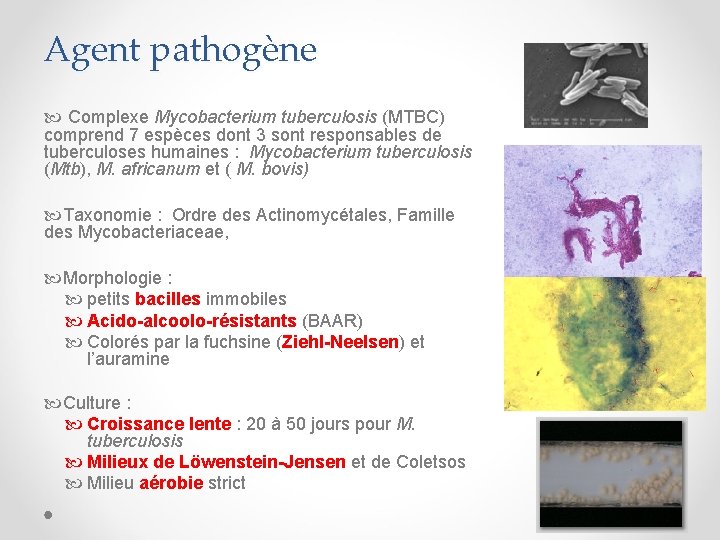 Agent pathogène Complexe Mycobacterium tuberculosis (MTBC) comprend 7 espèces dont 3 sont responsables de
