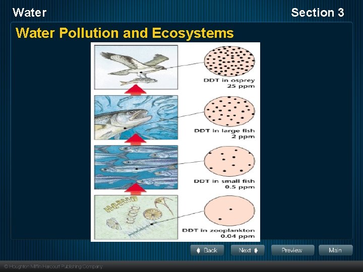 Water Pollution and Ecosystems Section 3 