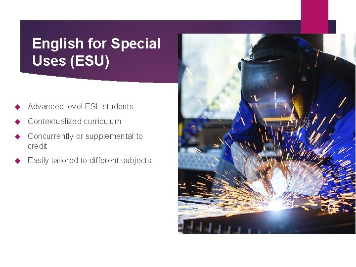 English for Special Uses (ESU) Advanced level ESL students Contextualized curriculum Concurrently or supplemental