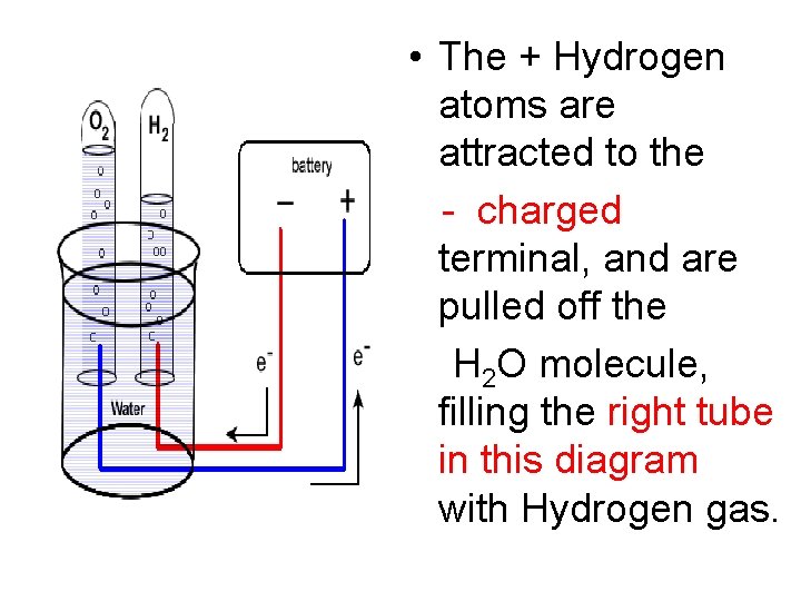  • The + Hydrogen atoms are attracted to the - charged terminal, and