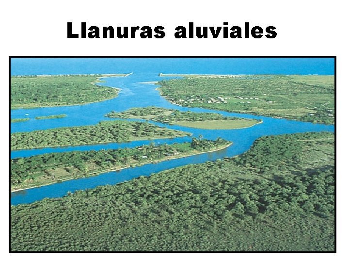 Llanuras aluviales 