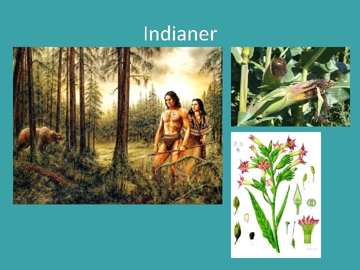 Indianer 
