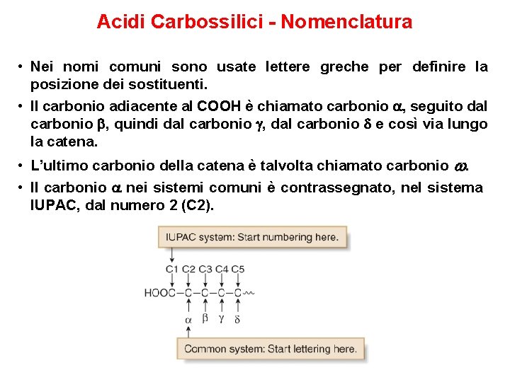 Acidi Carbossilici - Nomenclatura • Nei nomi comuni sono usate lettere greche per definire