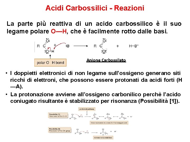 Acidi Carbossilici - Reazioni La parte più reattiva di un acido carbossilico è il