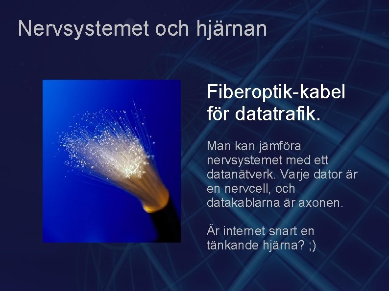 Nervsystemet och hjärnan Fiberoptik-kabel för datatrafik. Man kan jämföra nervsystemet med ett datanätverk. Varje