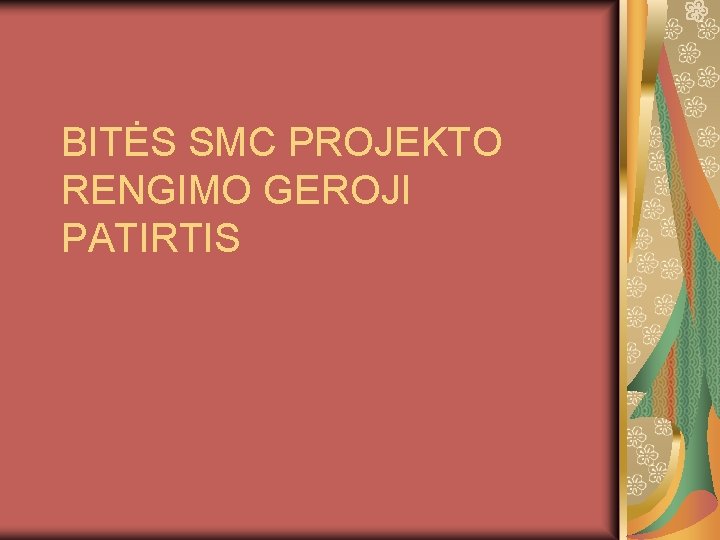 BITĖS SMC PROJEKTO RENGIMO GEROJI PATIRTIS 